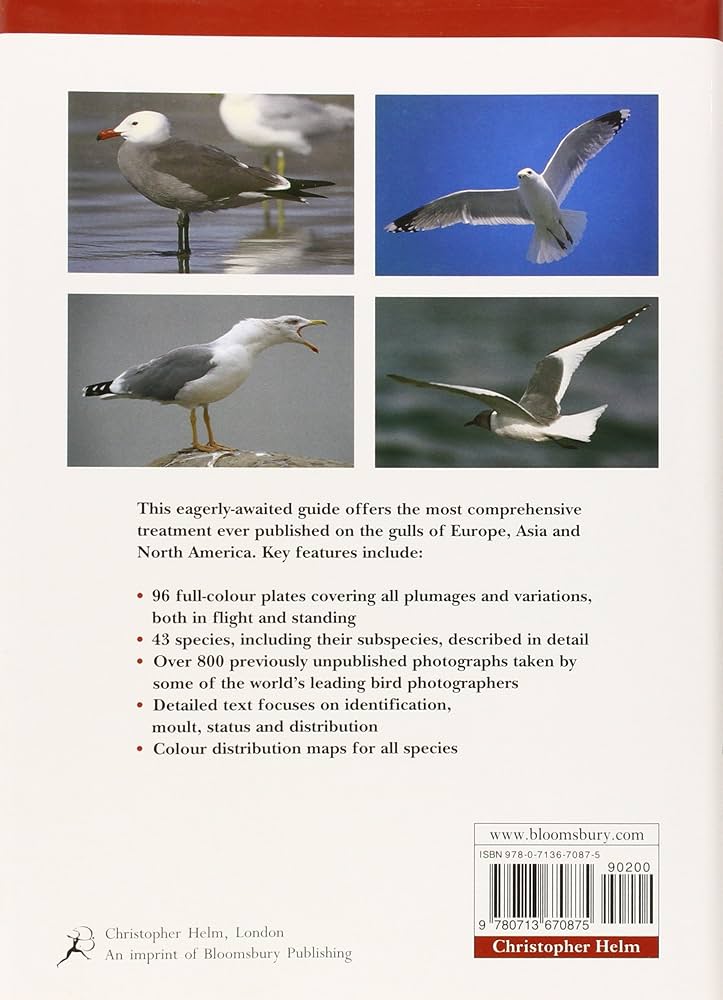 Gulls of Europe, Asia and North America : Larsson, Hans